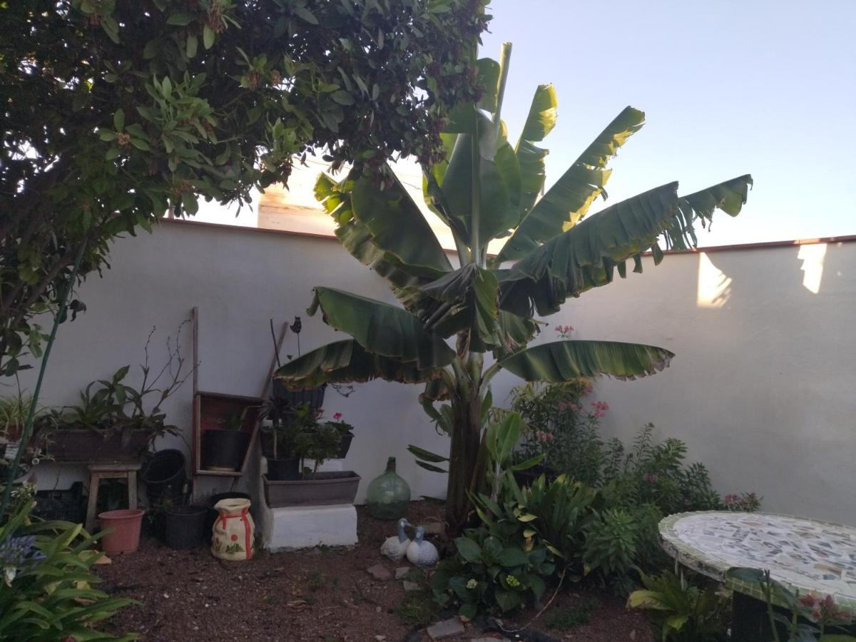 2Faros Apartment La Guancha Exterior photo